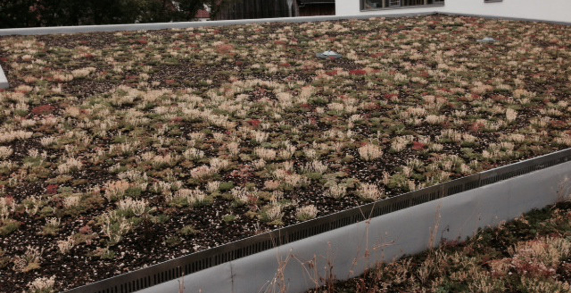 Étanchéité toit terrasse / plat / végétalisé à Fegersheim alternative